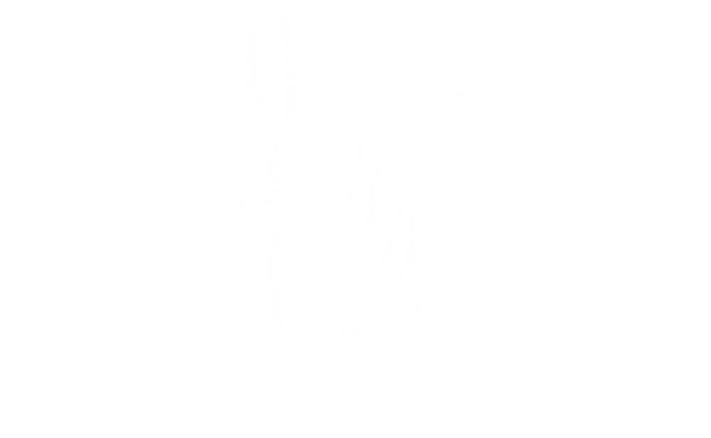 黒うさBOX